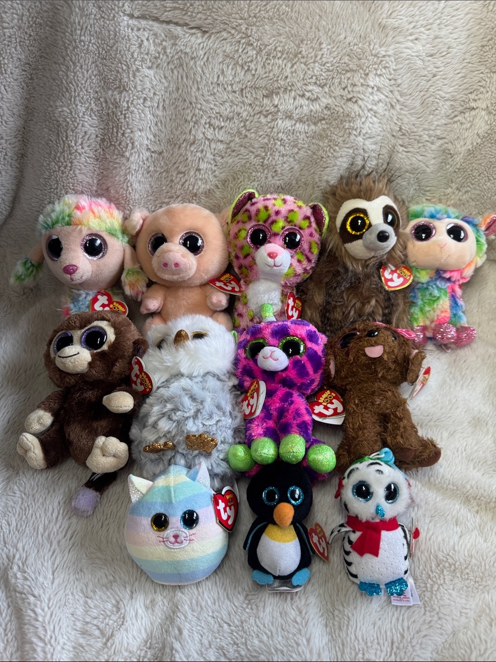TY Beanie Boos Bundle With Tags